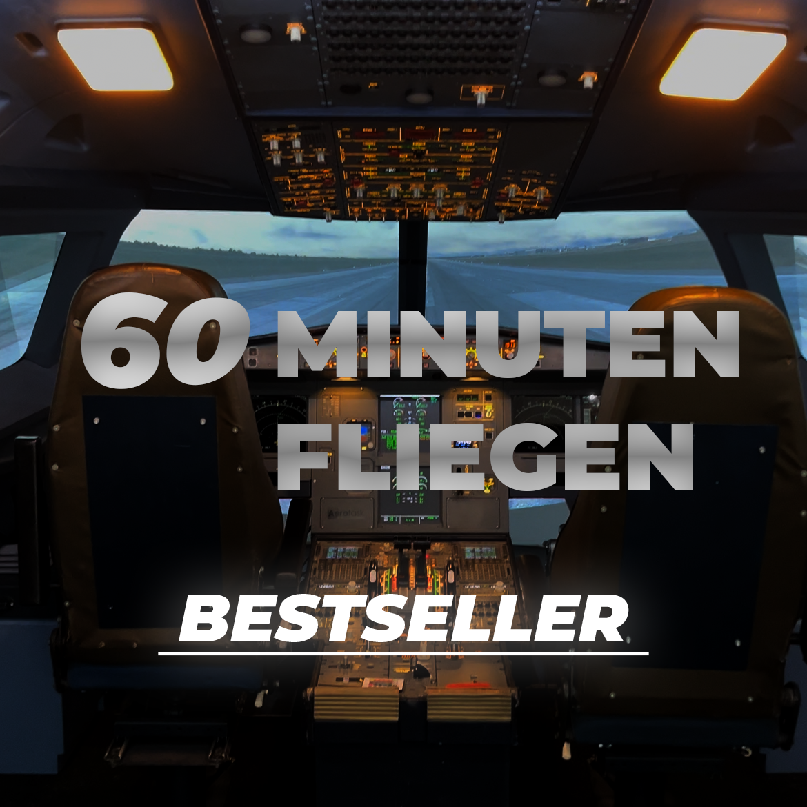 60 Minuten in einem A320 Fliegen [BESTSELLER]